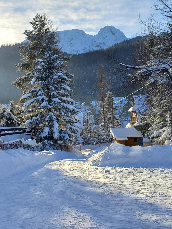 U Tylki Studio Z Widokiem Na Gory Zakopane Exterior foto